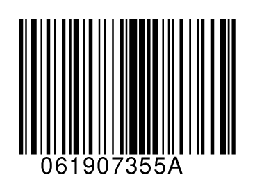 061907355A