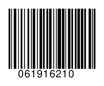 061916210
