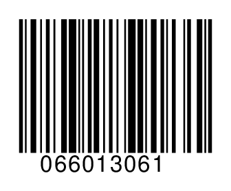 066013061