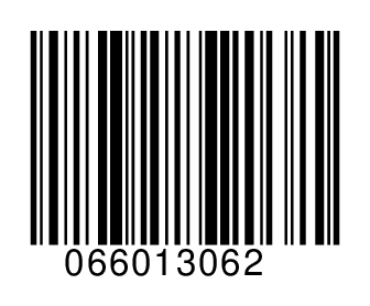 066013062