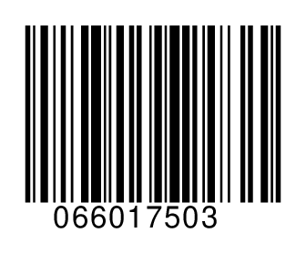 066017503