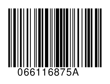 066116875A