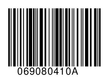 069080410A