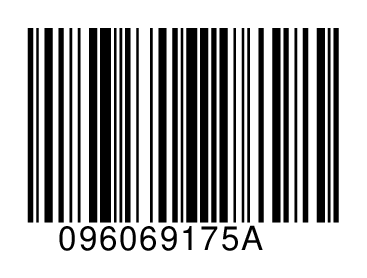 096069175A