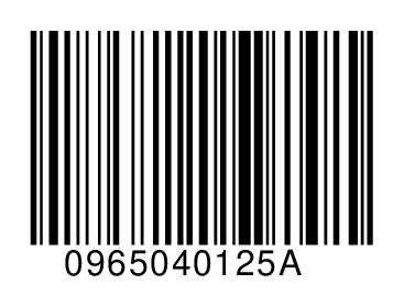 0965040125A