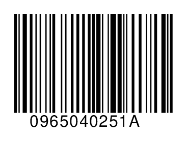 0965040251A