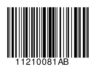 11210081AB