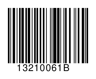 13210061B