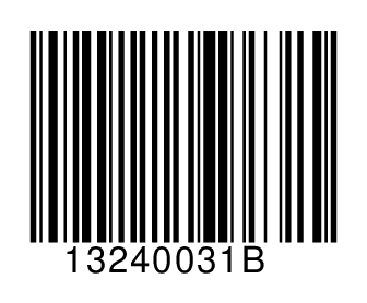 13240031B