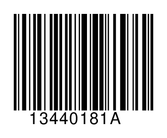 13440181A
