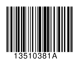 13510381A
