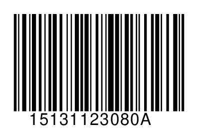 15131123080A