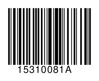 15310081A
