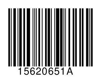 15620651A