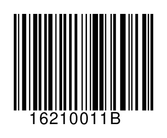 16210011B