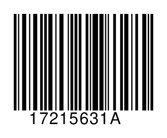 17215631A