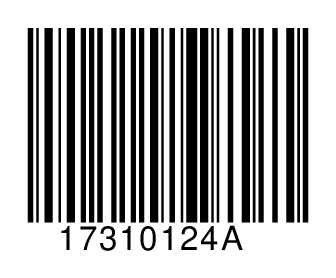 17310124A