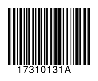 17310131A