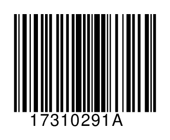 17310291A