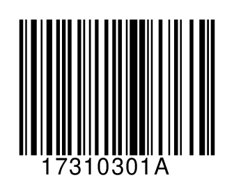 17310301A