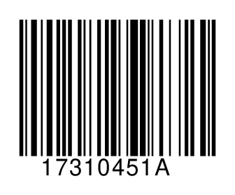 17310451A