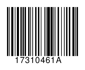 17310461A