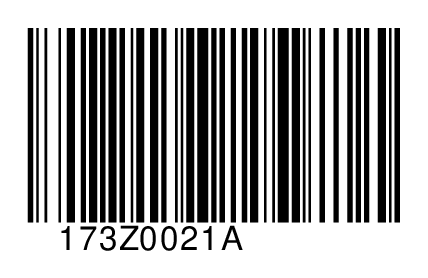 173Z0021A