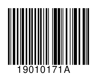 19010171A