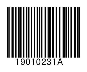 19010231A