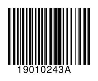 19010243A
