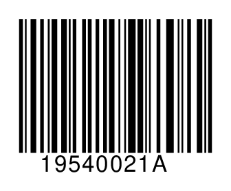 19540021A