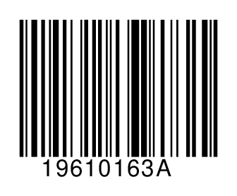 19610163A