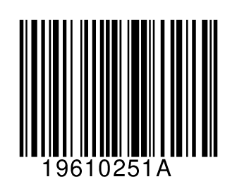 19610251A