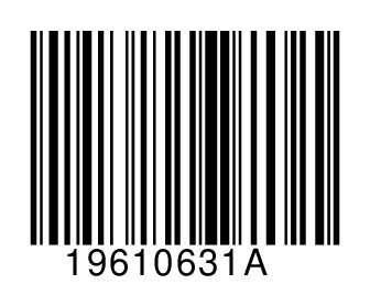 19610631A