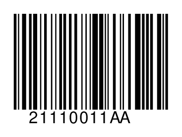 21110011AA