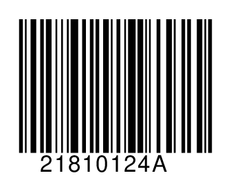 21810124A