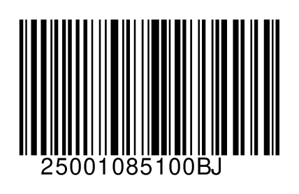 25001085100BJ