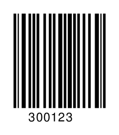 300123