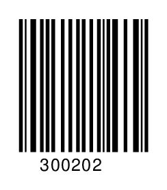 300202
