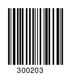 300203