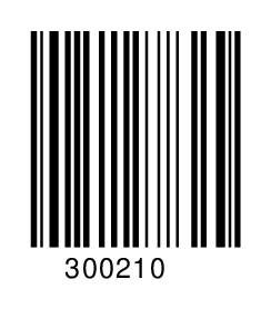 300210