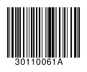 30110061A