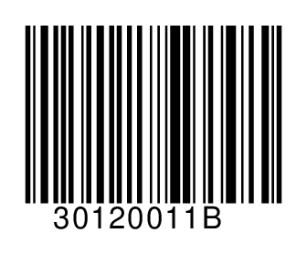 30120011B