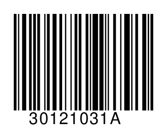 30121031A