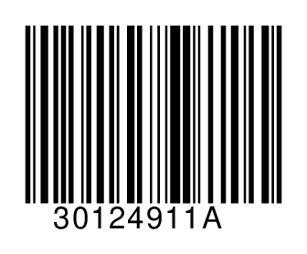 30124911A