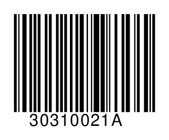 30310021A