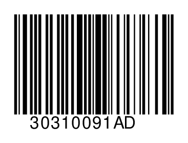 30310091AD