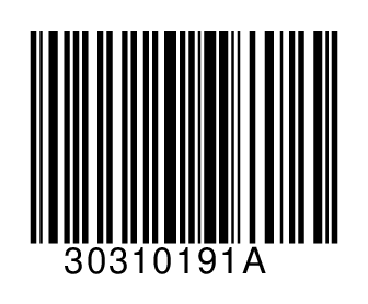 30310191A