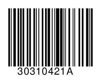 30310421A