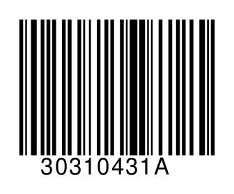 30310431A